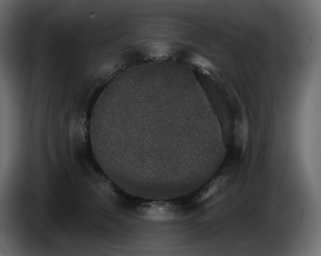 X0000084540612200703231716