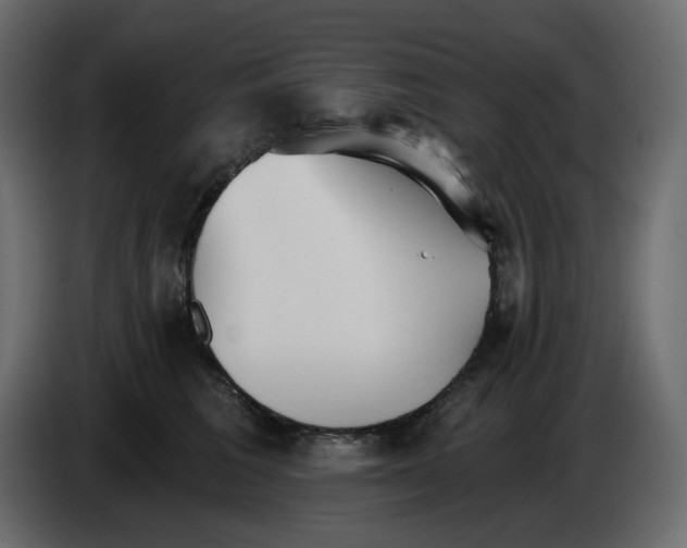 X0000084540613200703231716