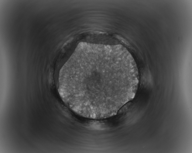 X0000084540616200703231715