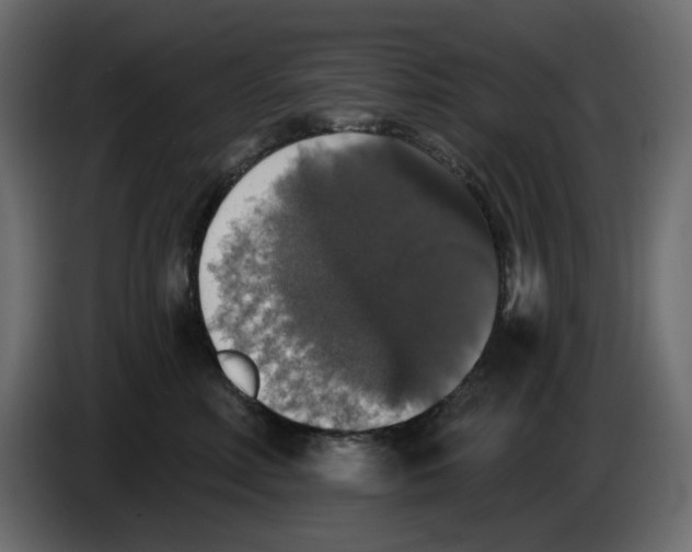 X0000084540618200703231715