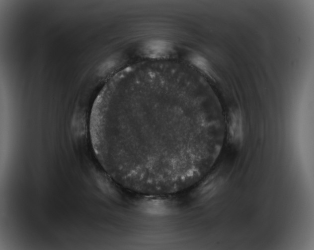 X0000084540620200703231715