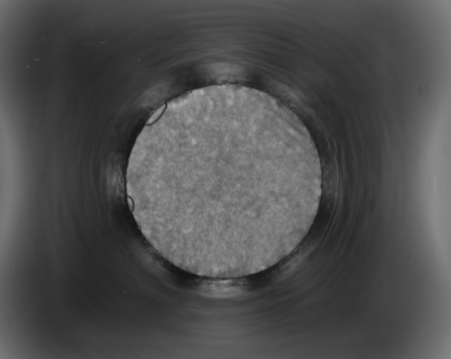 X0000084540622200703231715