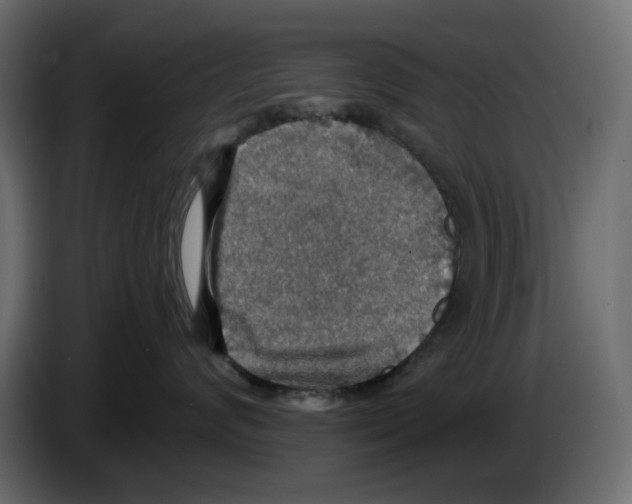 X0000084540624200703231715