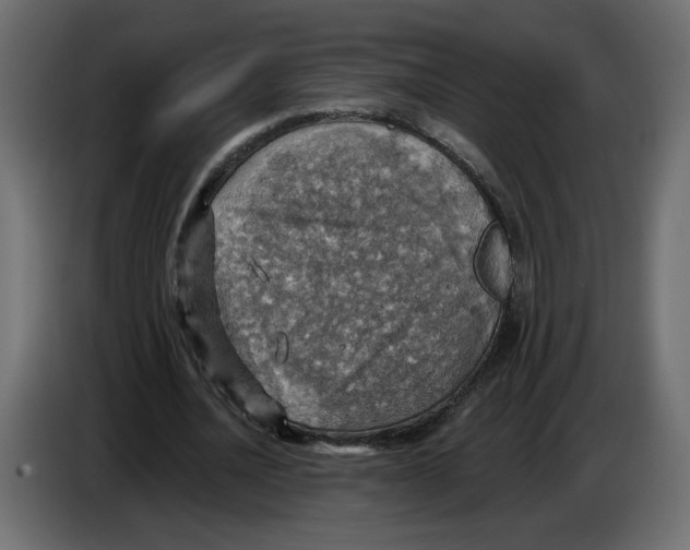 X0000084540628200703231715