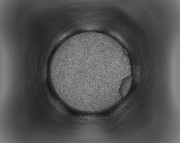 X0000084540631200703231715