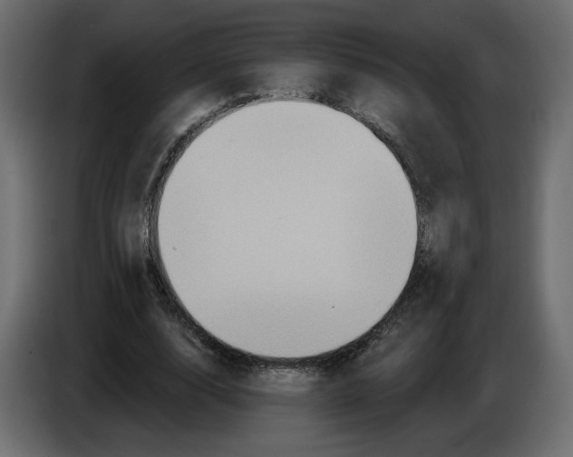 X0000084540632200703231715