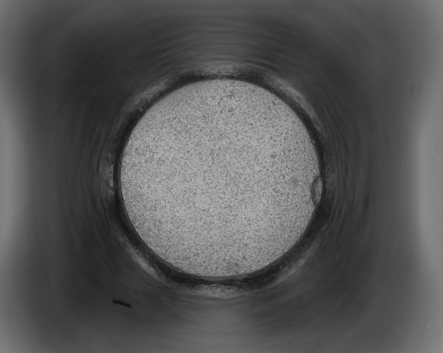 X0000084540633200703231715