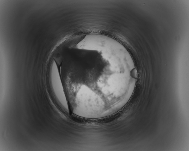 X0000084540634200703231715