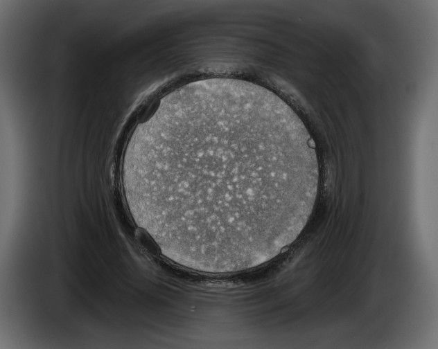 X0000084540636200703231715