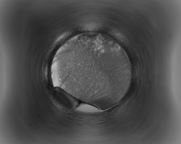 X0000084540640200703231715