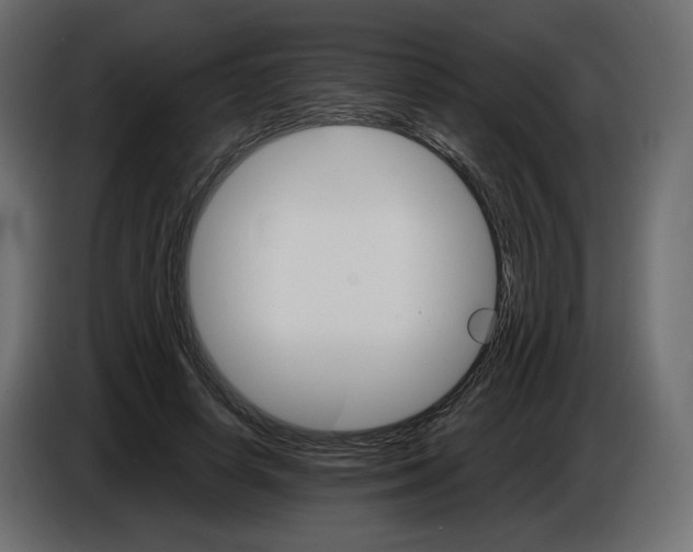 X0000084540642200703231715