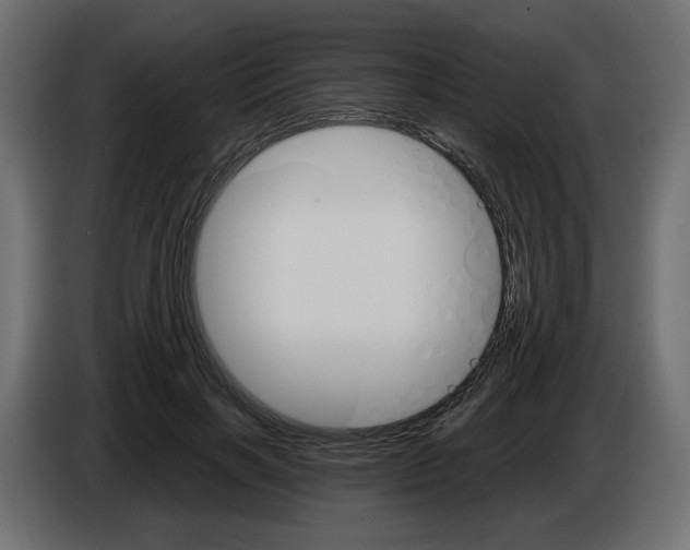 X0000084540646200703231715