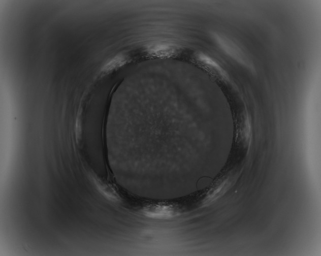 X0000084540647200703231715