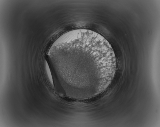 X0000084540648200703231715