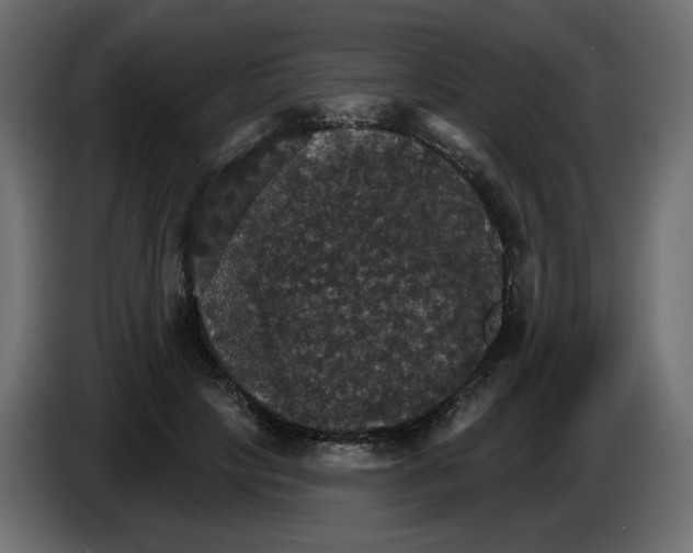 X0000084540649200703231715