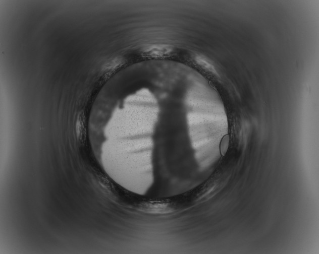 X0000084540651200703231715