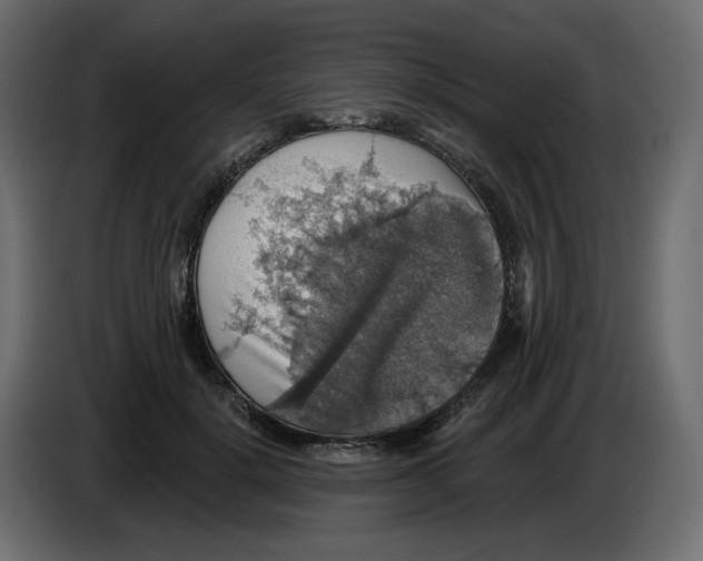 X0000084540652200703231715