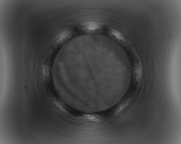 X0000084540654200703231715