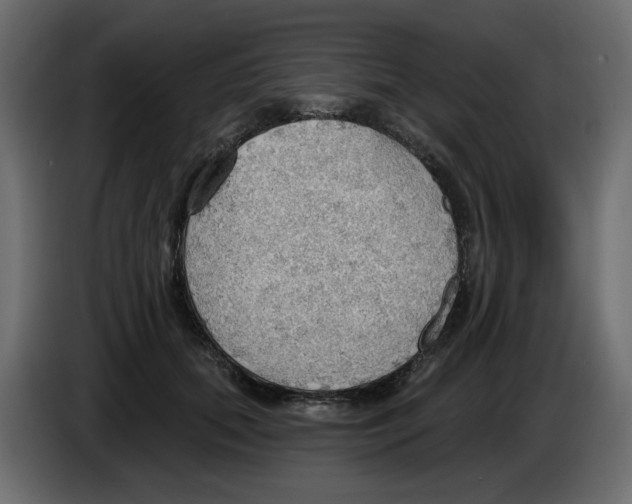 X0000084540655200703231715