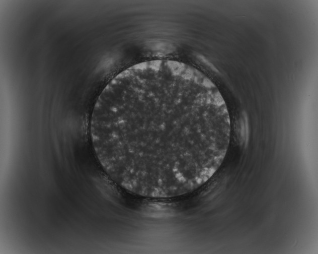 X0000084540657200703231715