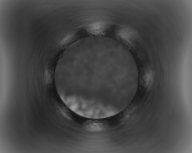 X0000084540658200703231715