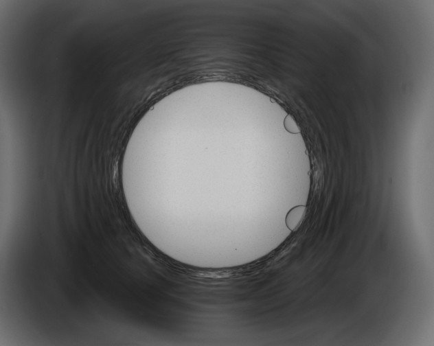 X0000084540660200703231715