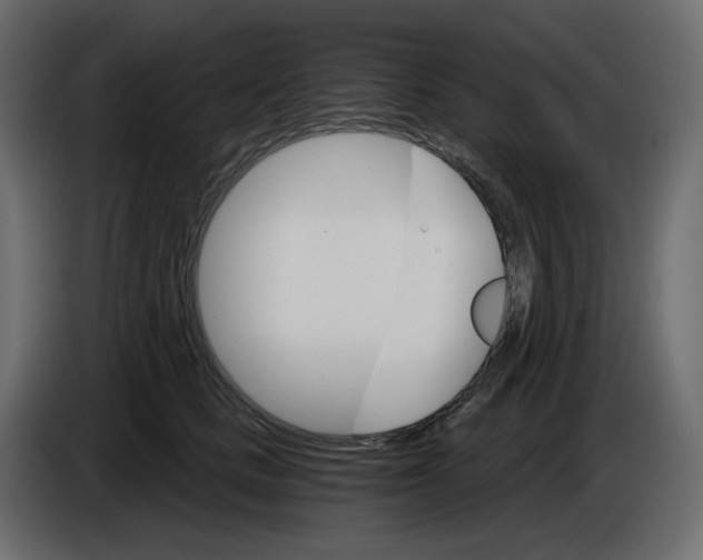 X0000084540661200703231715