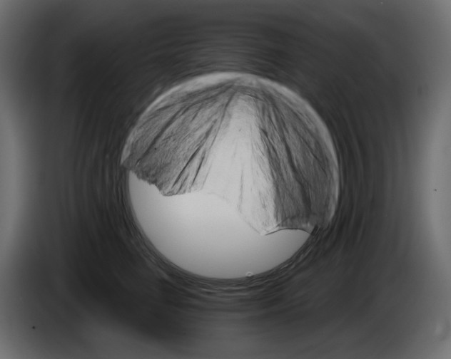 X0000084540662200703231715