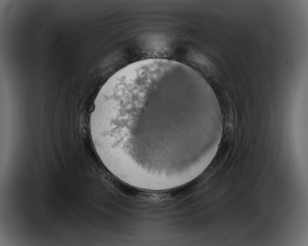 X0000084540663200703231715