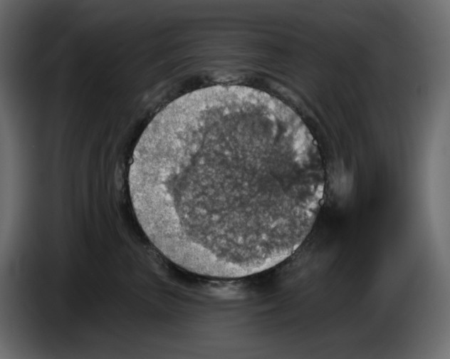 X0000084540667200703231715