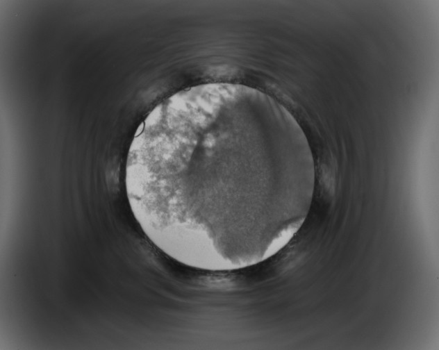 X0000084540668200703231715