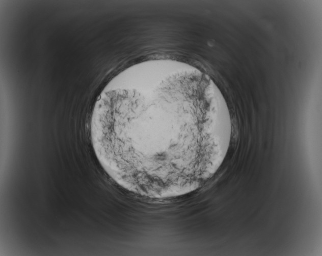 X0000084540669200703231715