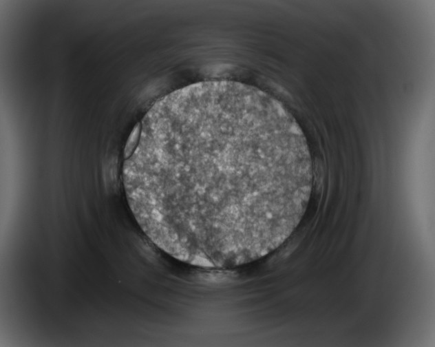 X0000084540670200703231715