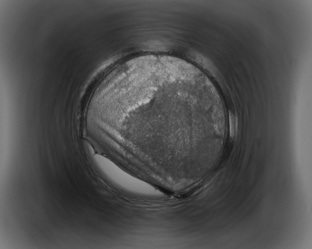 X0000084540675200703231715