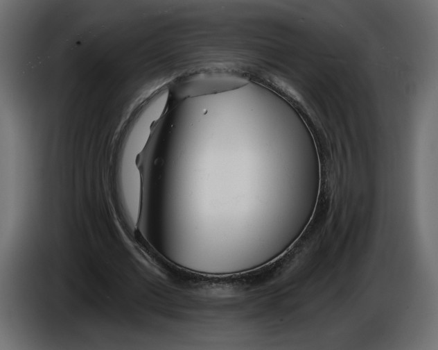 X0000084540677200703231715