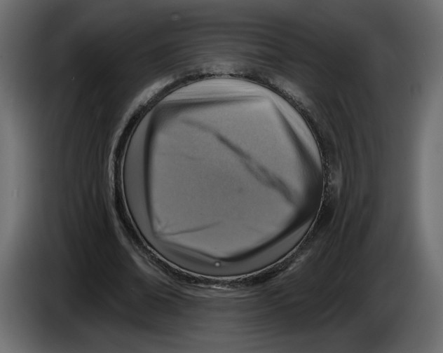 X0000084540678200703231715