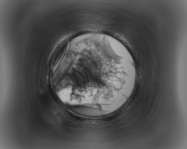 X0000084540679200703231715