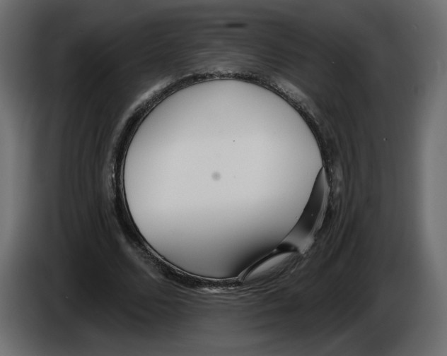 X0000084540680200703231715