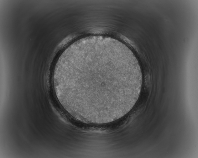 X0000084540682200703231715