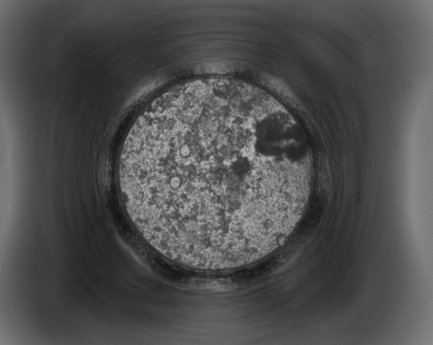 X0000084540683200703231715