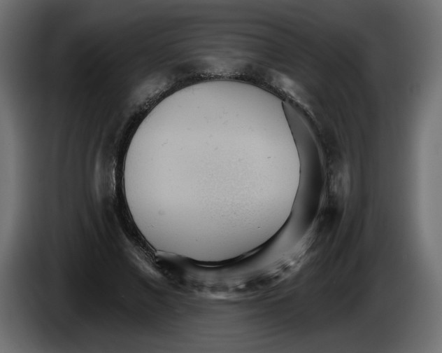 X0000084540685200703231715