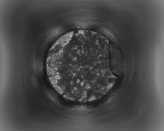 X0000084540687200703231714