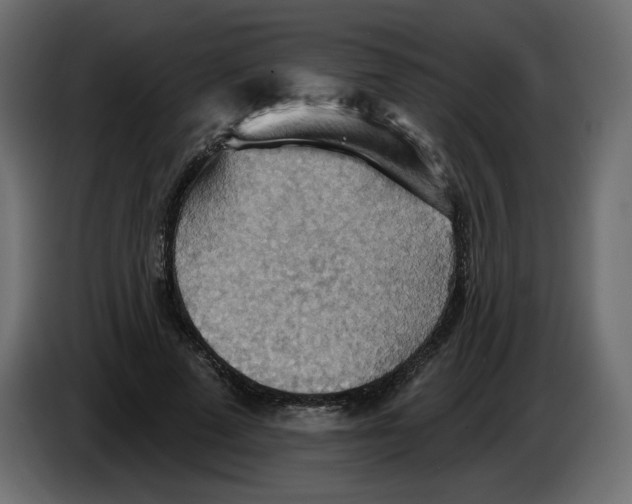 X0000084540689200703231714