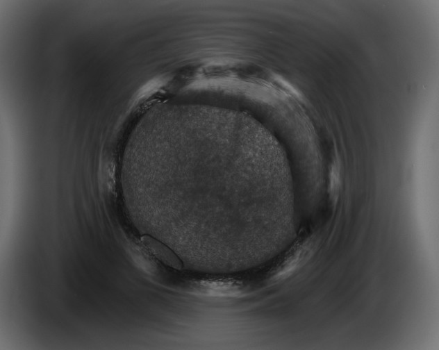 X0000084540693200703231714