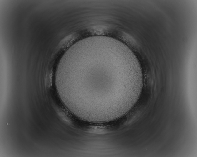 X0000084540694200703231714