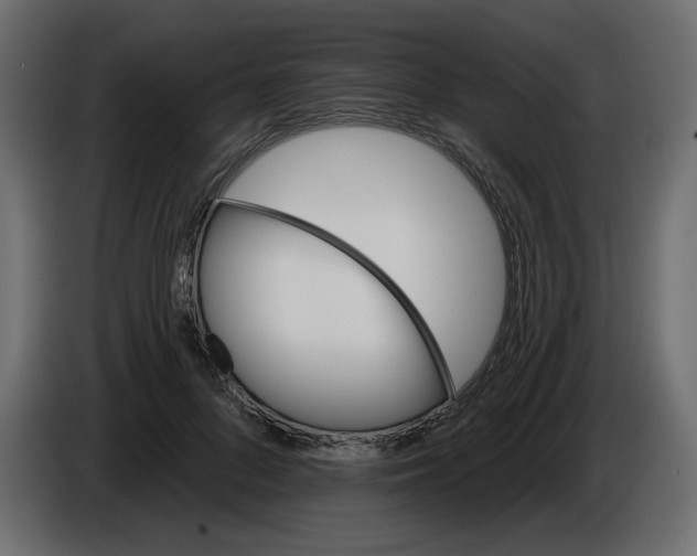 X0000084540696200703231714