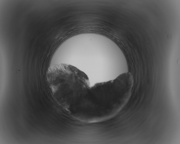 X0000084540699200703231714