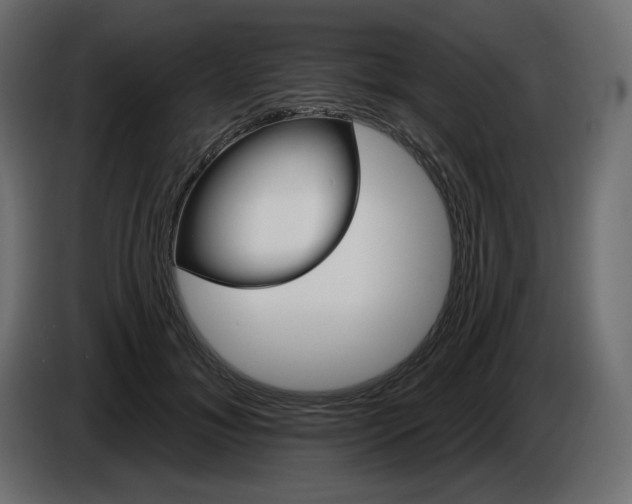 X0000084540700200703231714