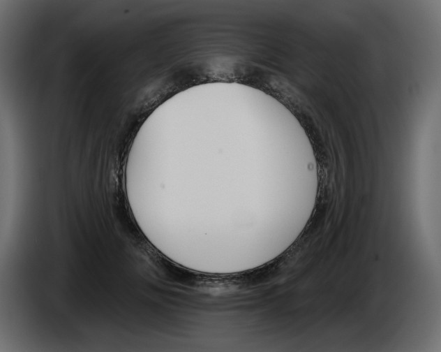 X0000084540702200703231714