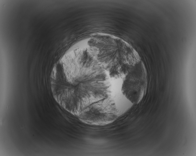 X0000084540703200703231714